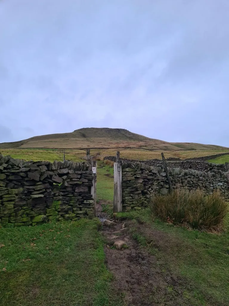 Shutlingsloe - Shutlingsloe circular walk via Whetstone Ridge by The Wandering Wildflower