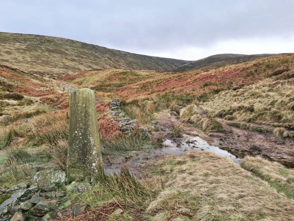 Black Hill and Blackpool Bridge Walk near Holmfirth - The Wandering Wildflower Peak District Walks