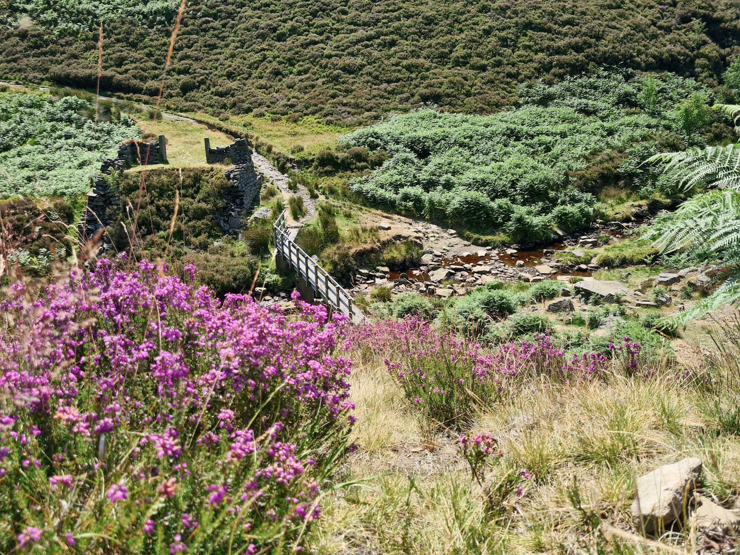 Holme to Black Hill Circular Walk | The Wandering Wildflower