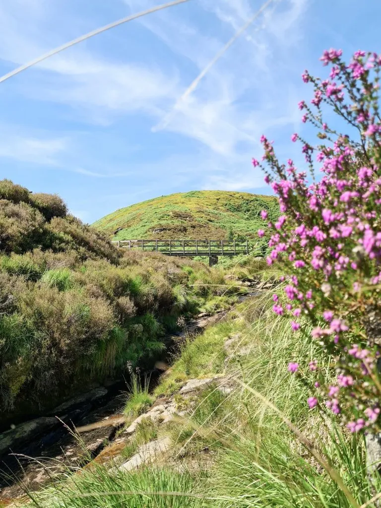 Black Hill and Blackpool Bridge Walk near Holmfirth - The Wandering Wildflower Peak District Walks