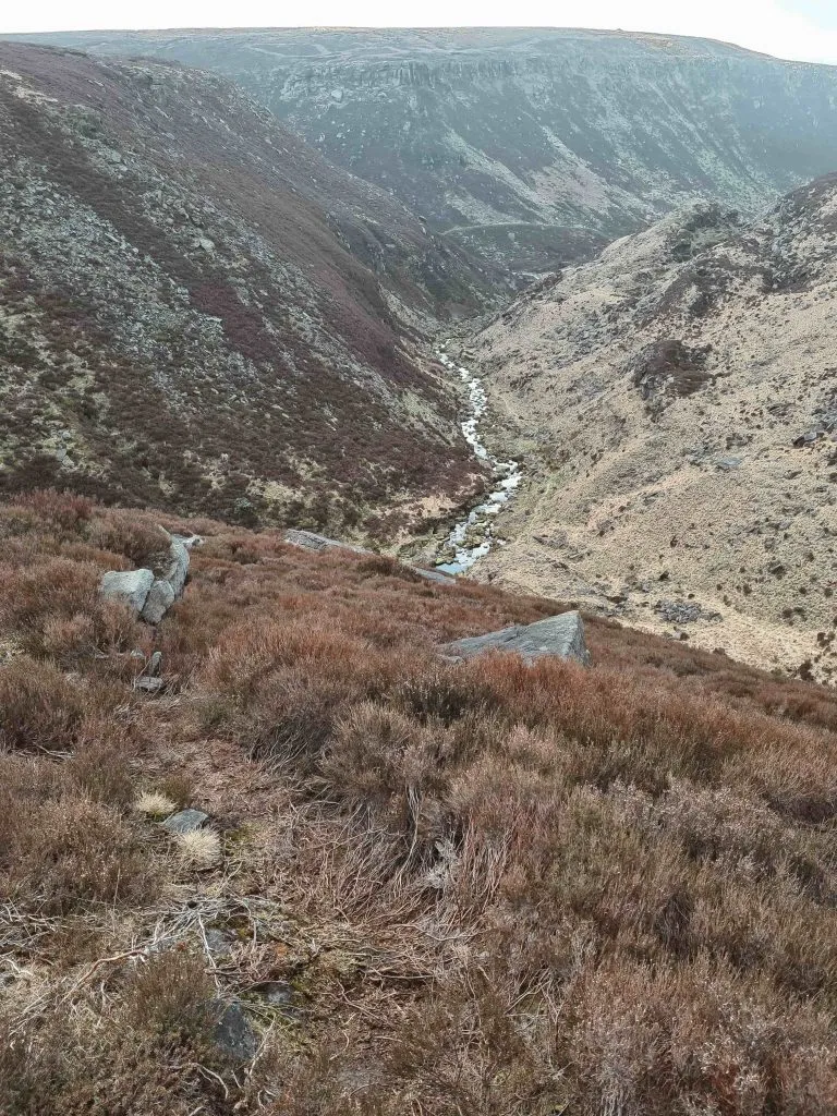 View down Rimmon Pit Clough towards Holme Clough