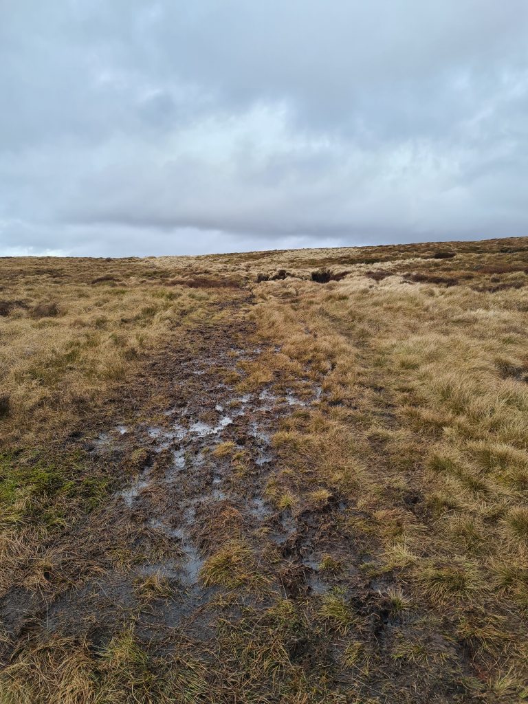 Westend Moor - a bleak, boggy, featureless moorland