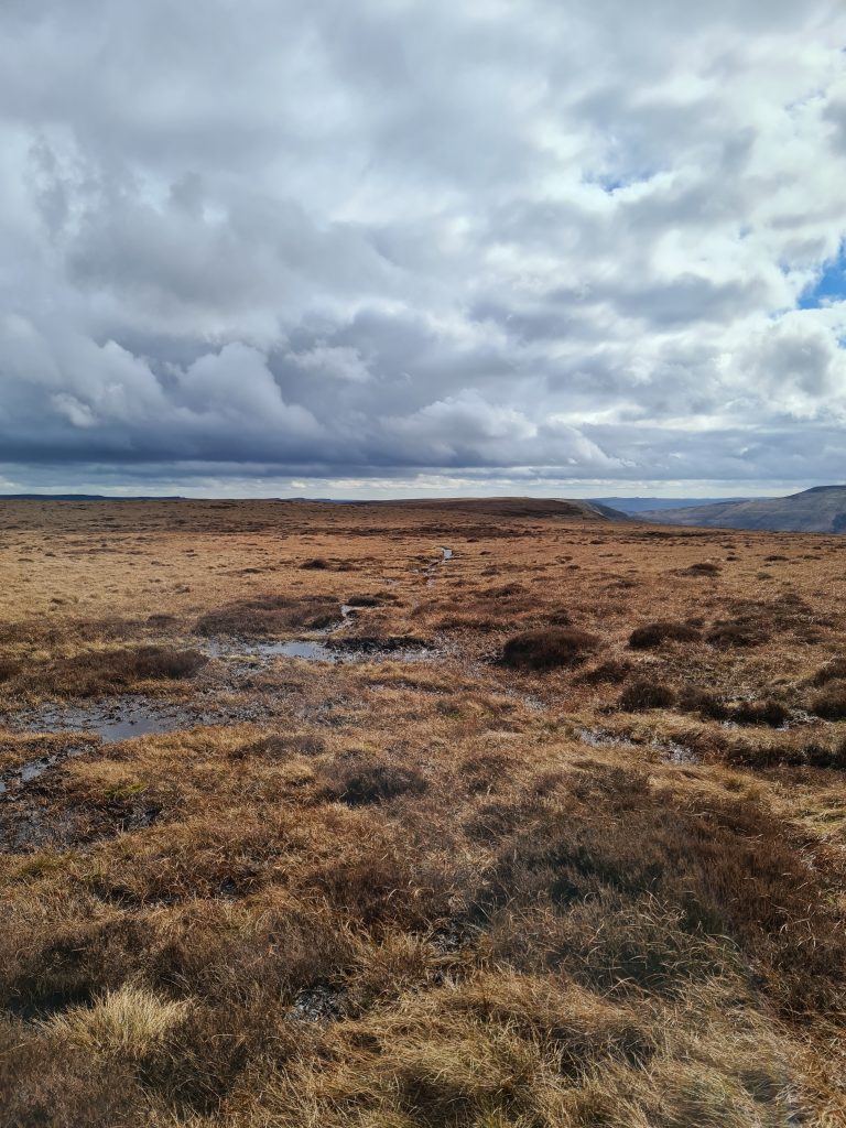A vast open moorland with really wet boggy parts!