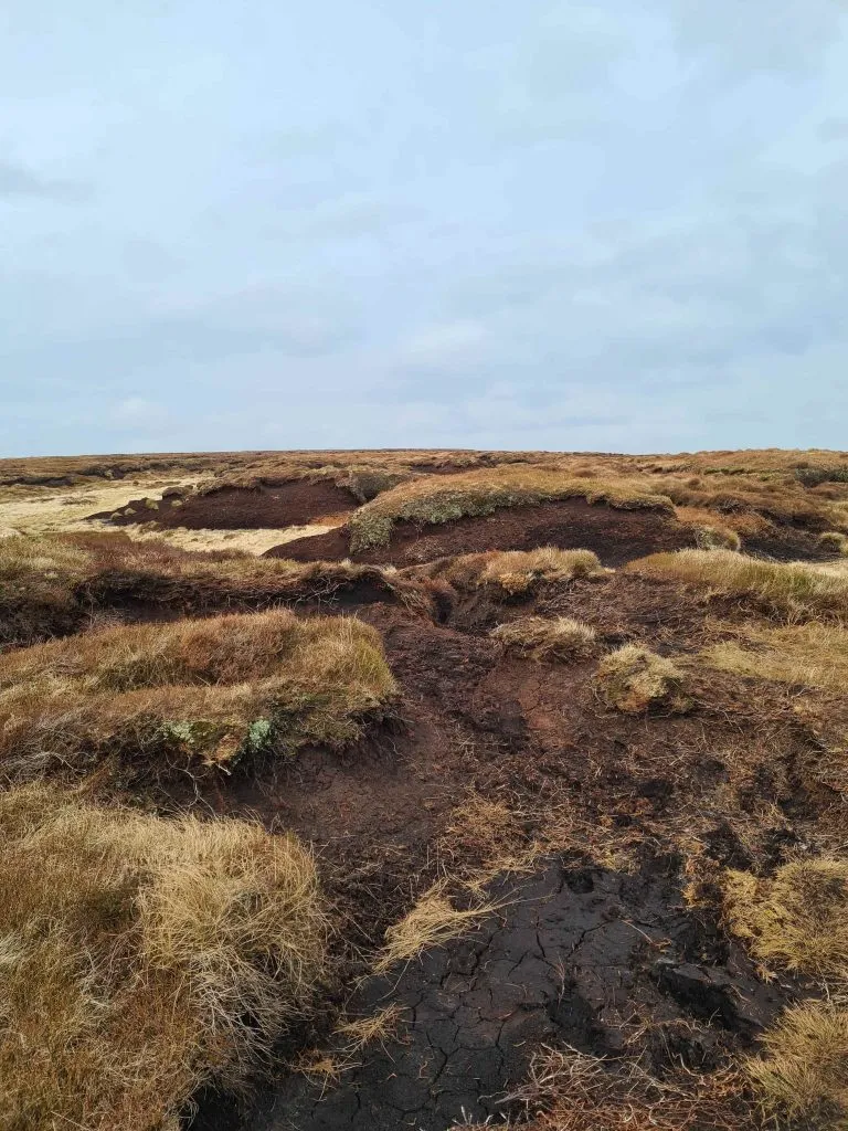 Tooleyshaw Moss, a peaty boggy wilderness near Black Hill, Peak District