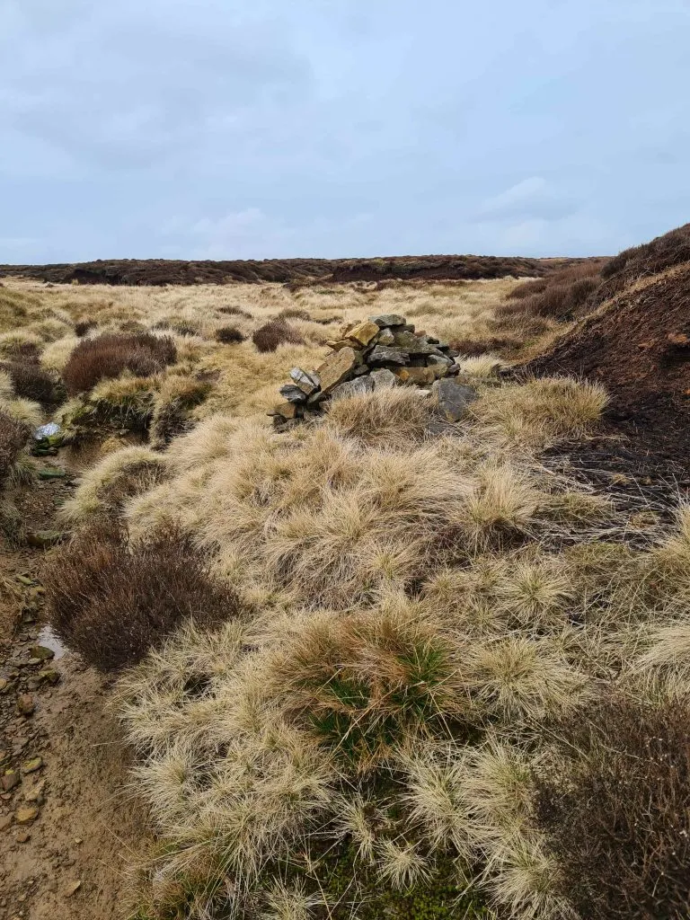 A small cairn on Tooleyshaw Moss