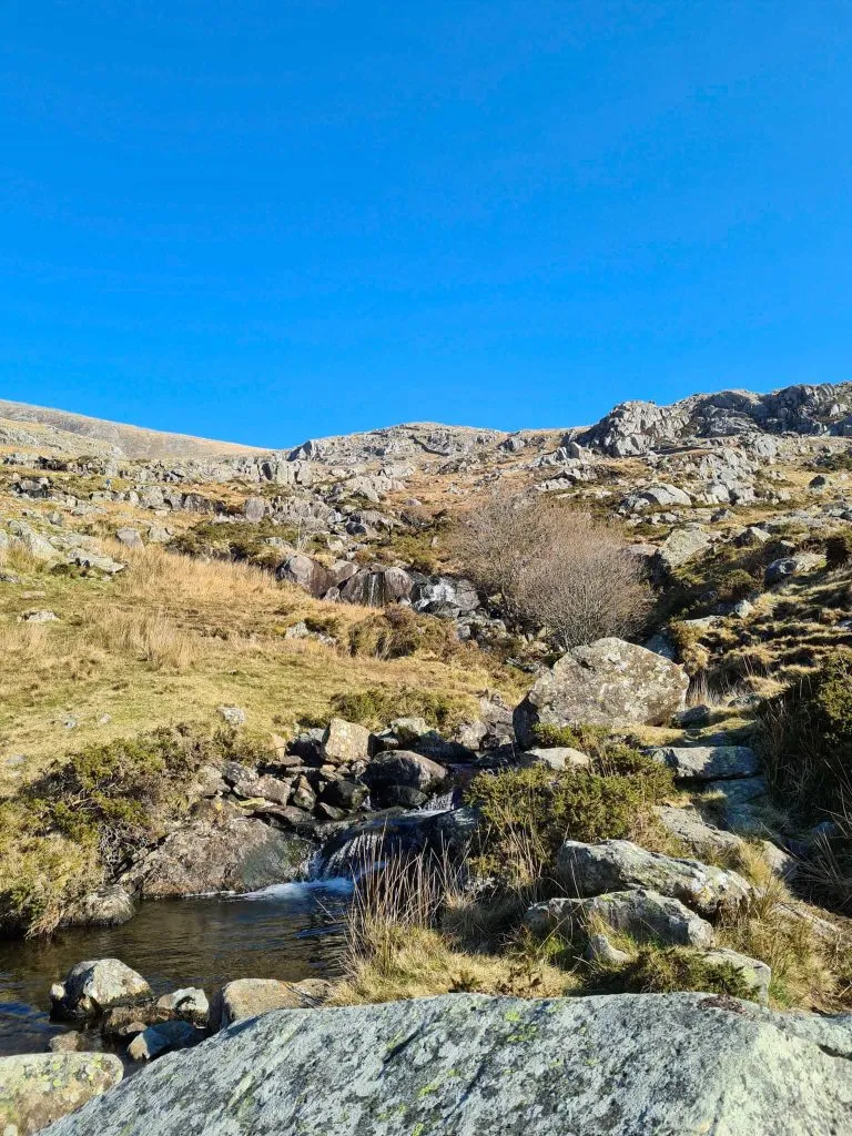 The path running alongside Afon Lloer