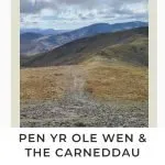 Pinterest Image for Pen Yr Ole Wen to Carnedd Llewelyn - The Wandering Wildflower