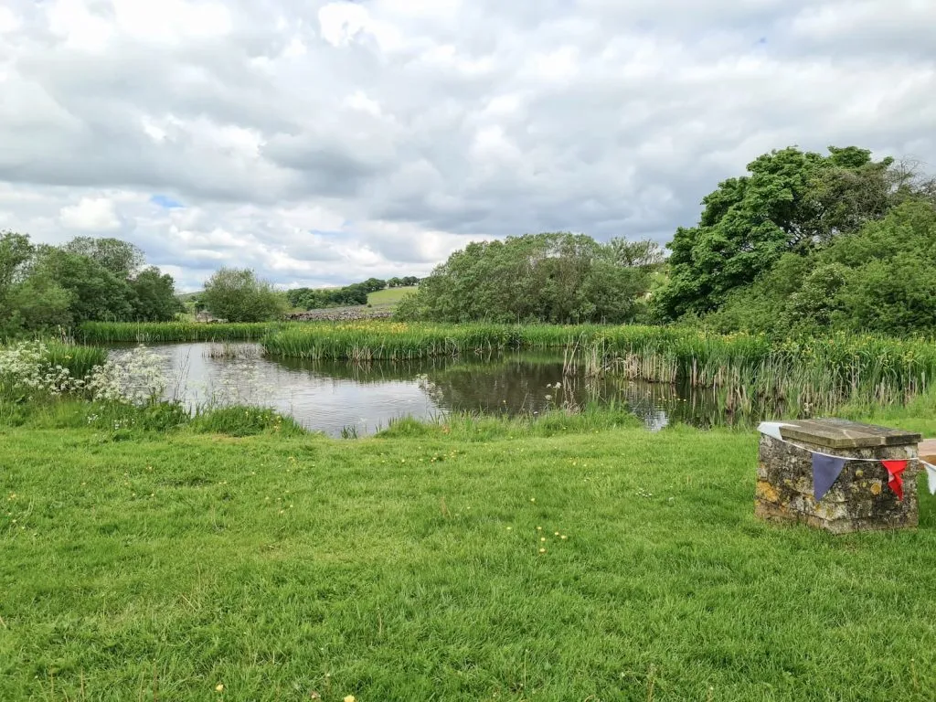 A large pond with bench seating 