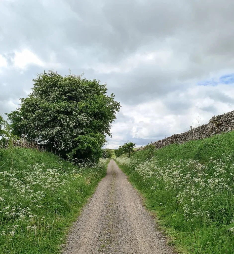 The High Peak Trail in Spring