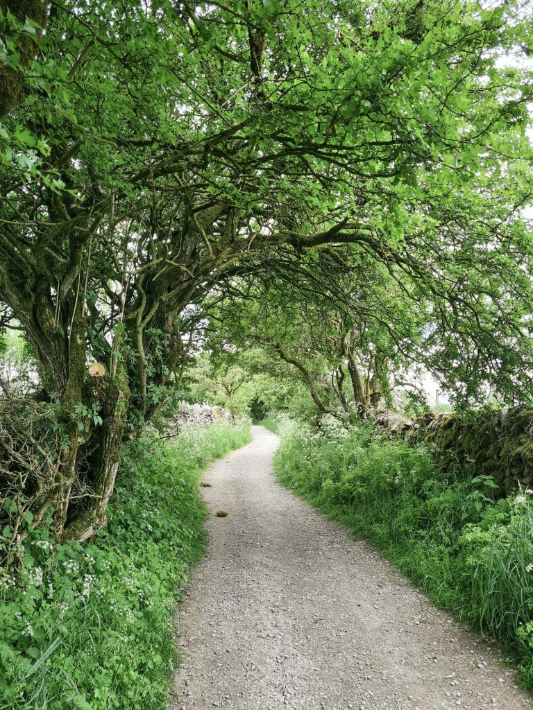 A country lane in the Peak District in Spring