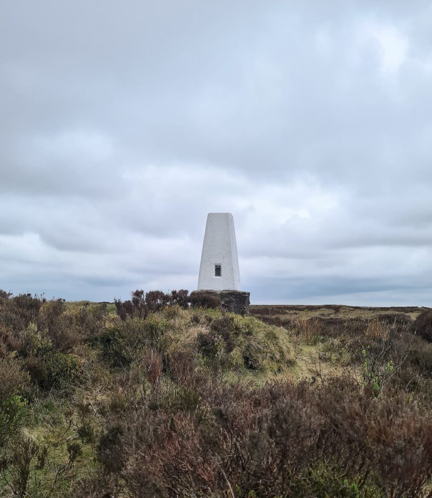 Featherbed Moss trig point in the winter heather