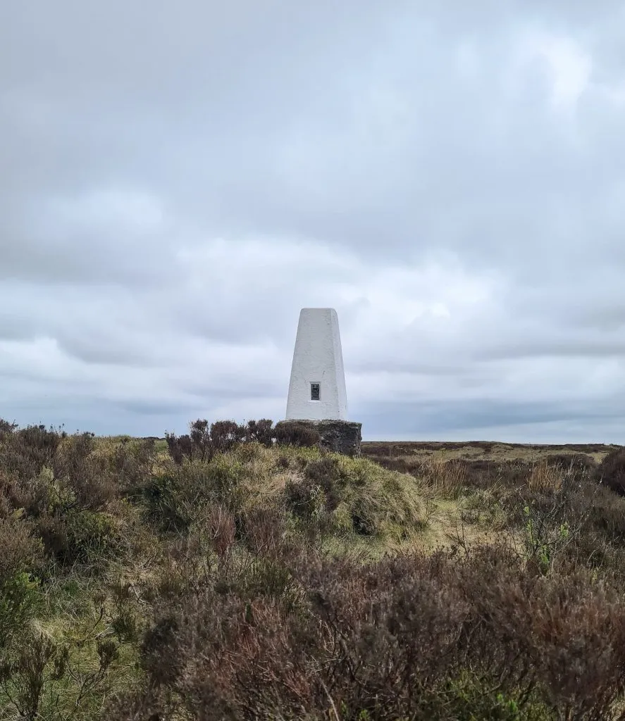 Featherbed Moss trig point in the winter heather