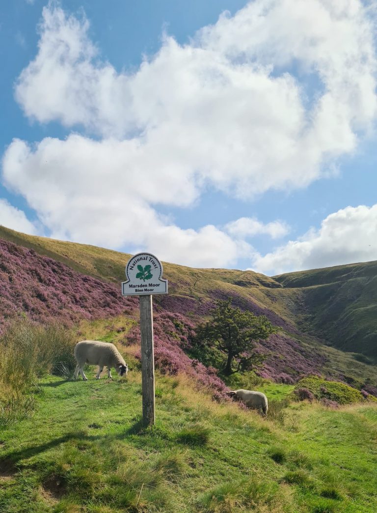 Circular Walk from Marsden to Wessenden Head | 6 Miles