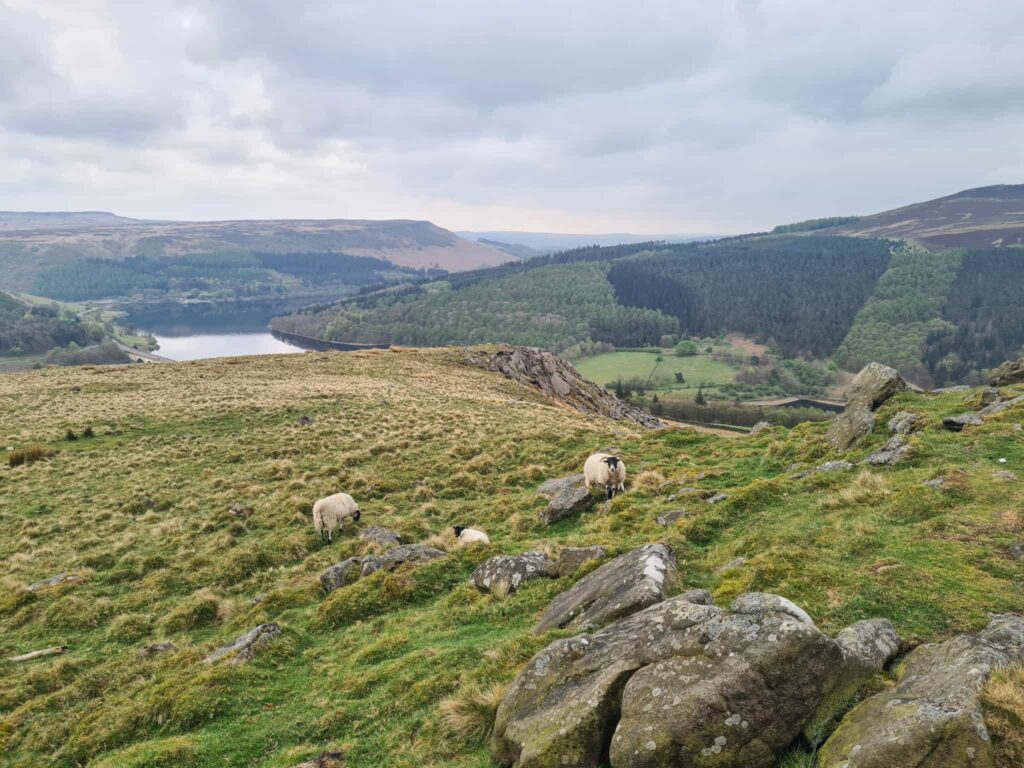 Views from Crook Hill down to Ladybower Reservoir