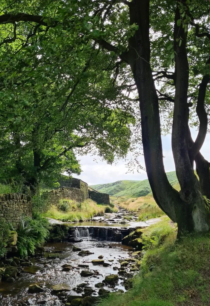 Redbrook Clough near Eastergate Bridge in Marsden, West Yorkshire