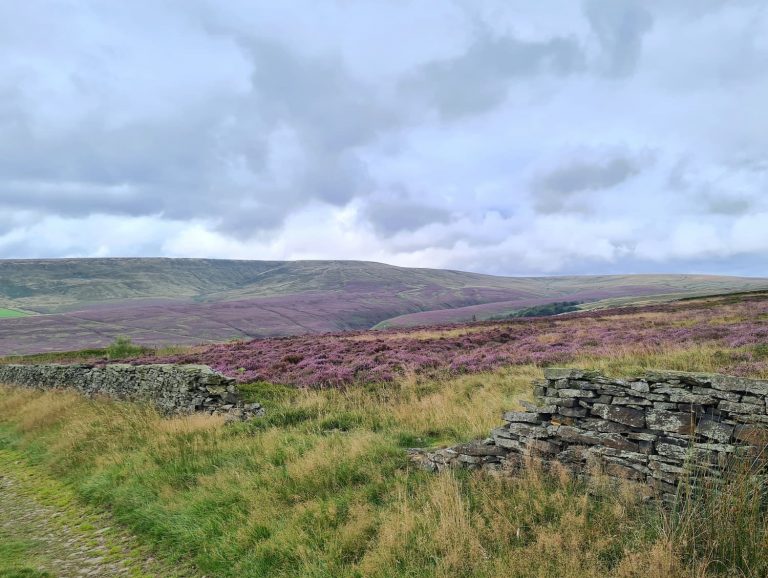 Circular Walk Around Harden Moss in Holmfirth | 4 Miles