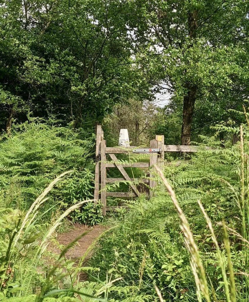 Bolehill (Cromford Moor) trig point with a wooden gate in the foreground