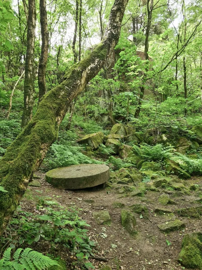 Old abandoned millstone in the woods near Black Rocks and Comford Moor
