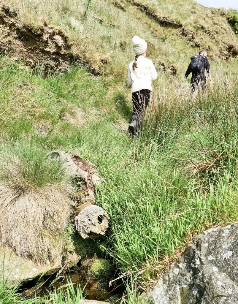A piece of aircraft wreckage in Ashton Clough from the C47 Dakota