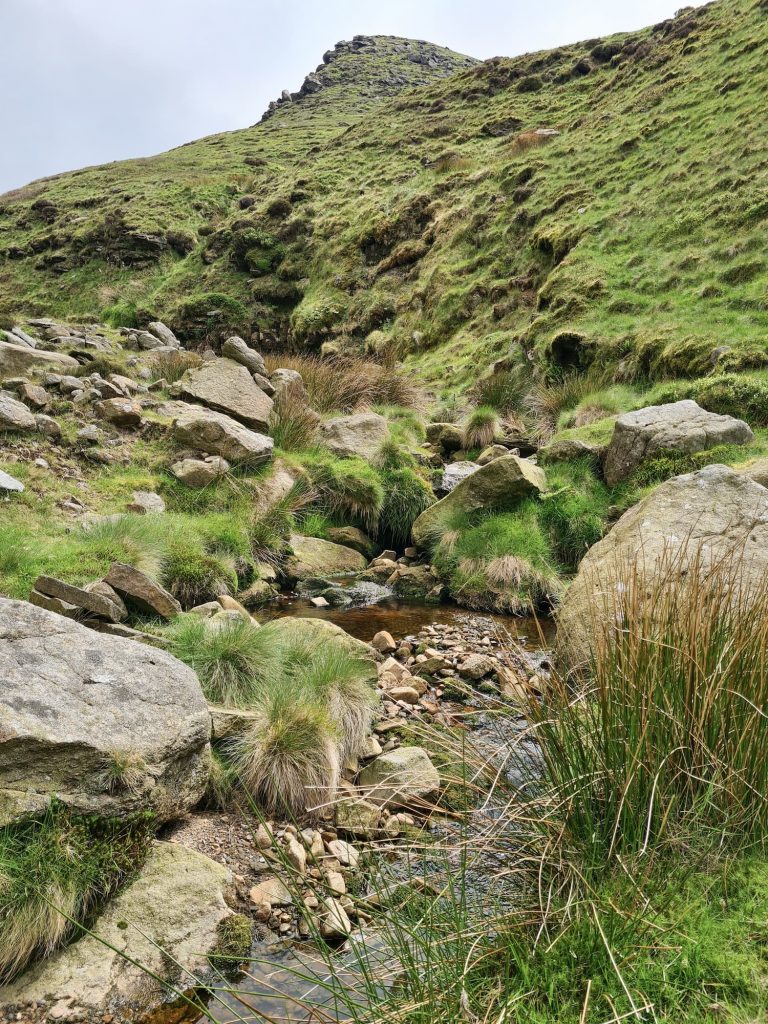 A moorland stream with a pool of water