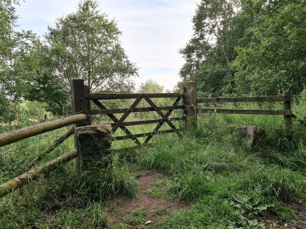 An old wooden gate leading to a field of tall grasses