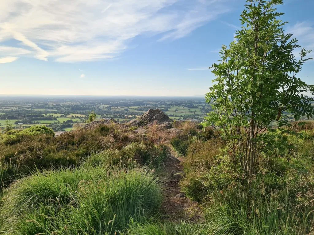 The view from The Cloud, Bosley
