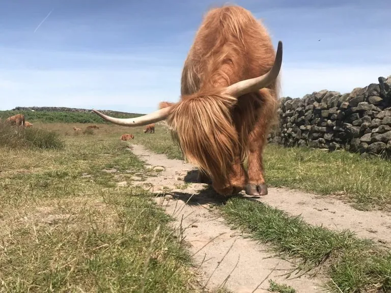 Baslow Edge Short Walk | 1.5 Miles