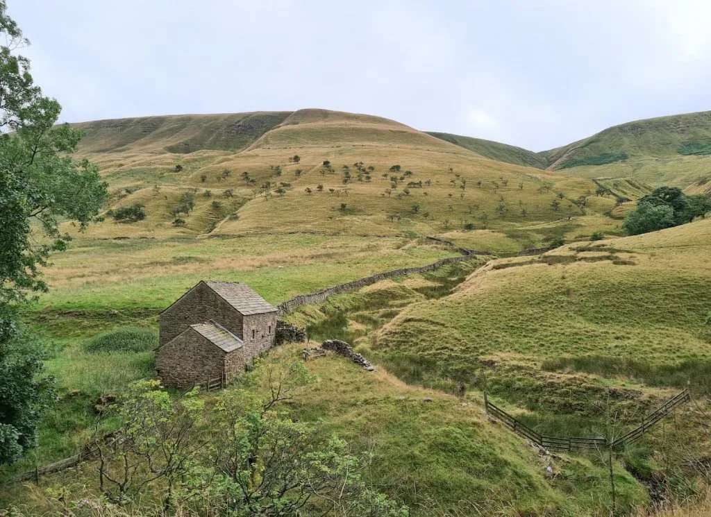 Walks in Edale - The Wandering Wildflower