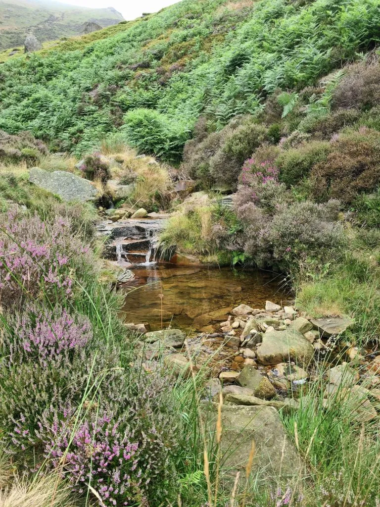 Crowden Clough Scramble Walk - The Wandering Wildflower