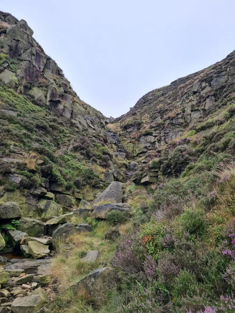 Crowden Clough Scramble Walk - The Wandering Wildflower