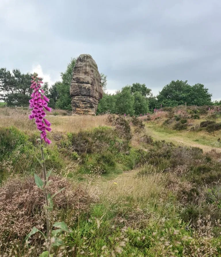 Minninglow Walk and Stanton Moor via High Peak Trail | 18 Miles
