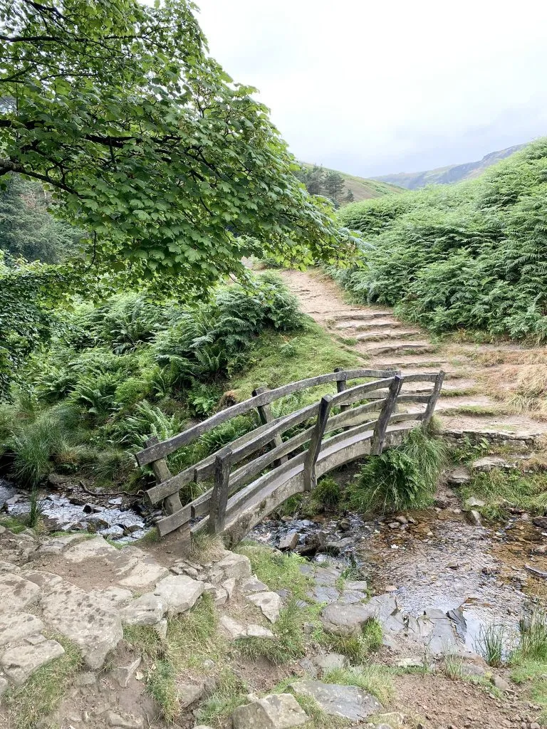 Ringing Roger Scramble Walk from Edale via Grindsbrook Clough - The Wandering Wildflower Peak District Walks