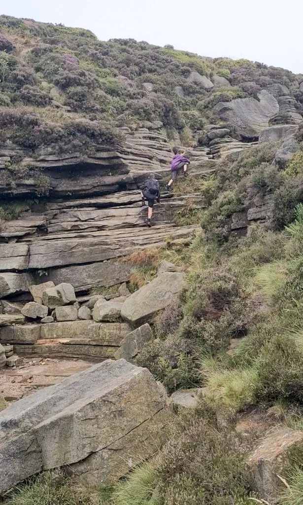 Ringing Roger Scramble Walk from Edale via Grindsbrook Clough - The Wandering Wildflower Peak District Walks