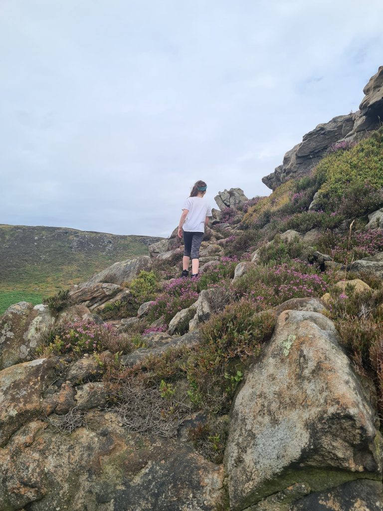 Ringing Roger Scramble Walk from Edale via Grindsbrook Clough - The Wandering Wildflower Peak District Walks