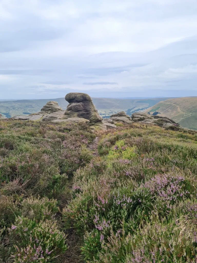 Ringing Roger Scramble Walk from Edale via Grindsbrook Clough - The Wandering Wildflower Peak District Walks
