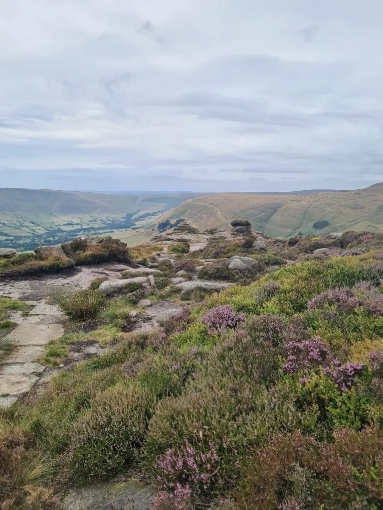 Ringing Roger Scramble Walk from Edale via Grindsbrook Clough - The Wandering Wildflower Peak District Walks