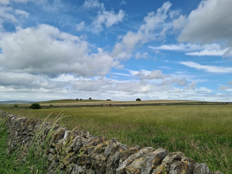 Sough Top and Chelmorton Low | 3 Miles