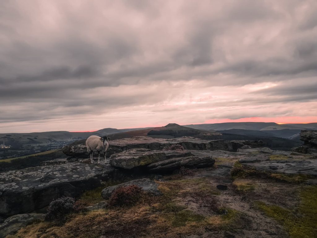 Sunset at Bamford Edge, The Peak District - The Wandering Wildflower