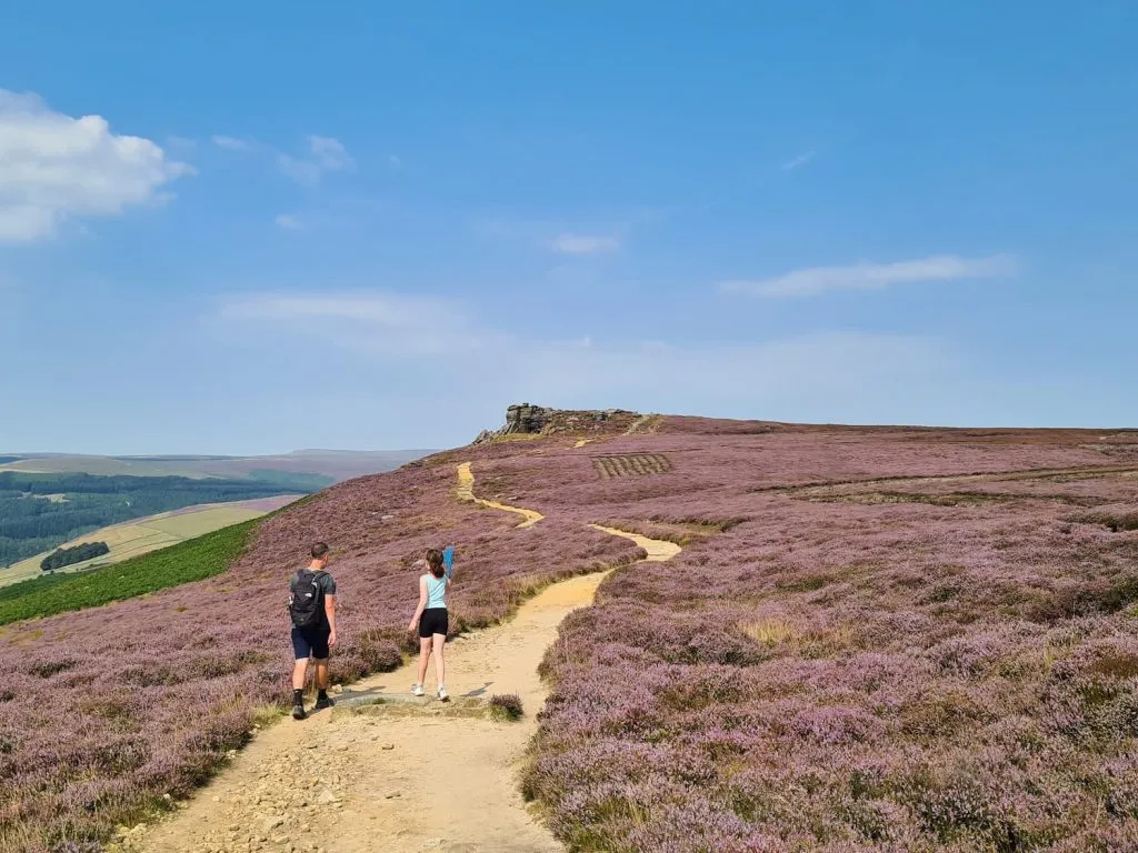 A heather filled Derwent Edge - The Wandering Wildflower