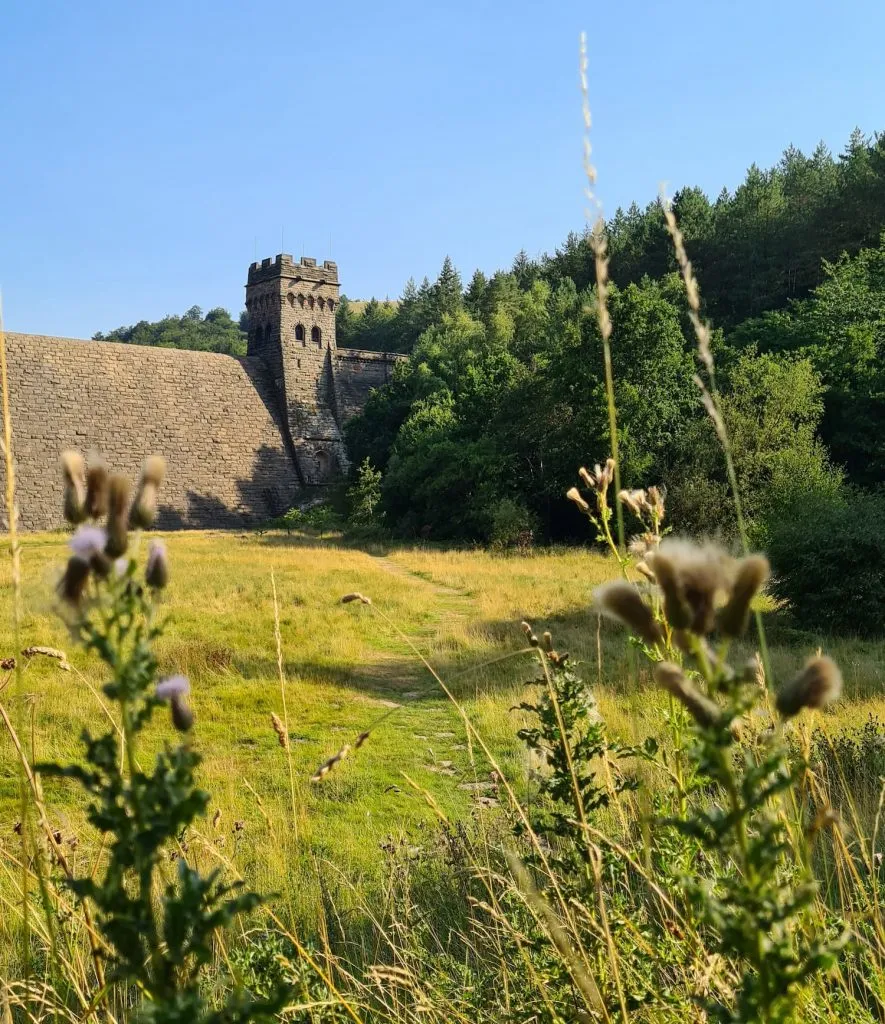 Howden Dam - The Wandering Wildflower