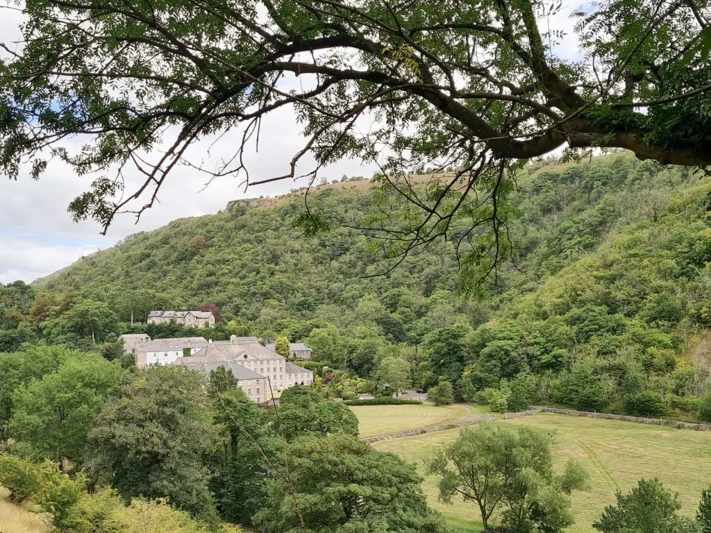 Views from the Monsal Trail - The Wandering Wildflower