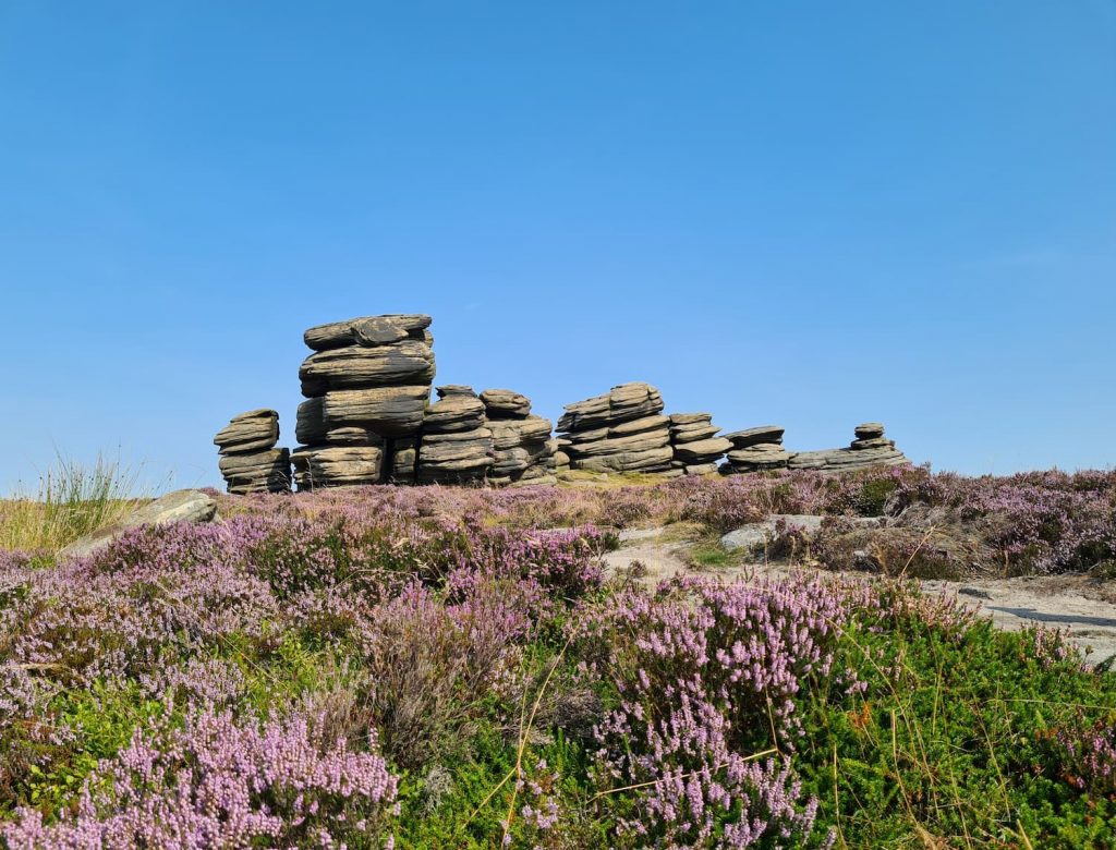 The Wheel Stones, Derwent Edge and heather - The Wandering Wildflower