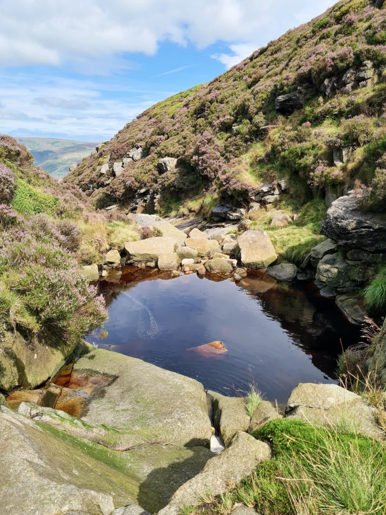Pool at the top of Wildboar Clough - The Wandering Wildflower