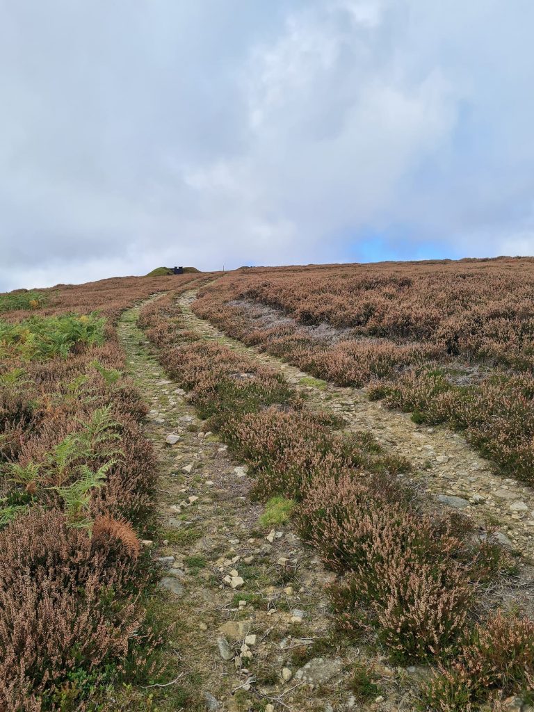 Gamekeepers Track on Bradfield Moors - The Wandering Wildflower