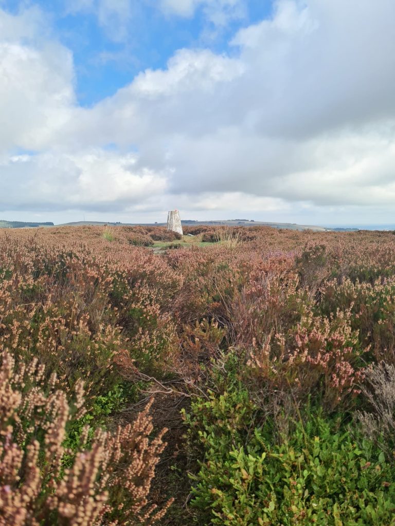 Emlin Ridge trig point - The Wandering Wildflower