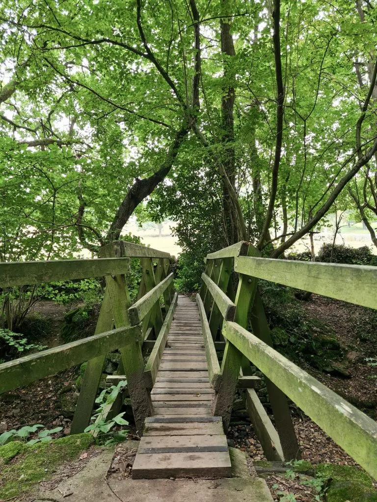 A wooden bridge in the woods - The Wandering Wildflower