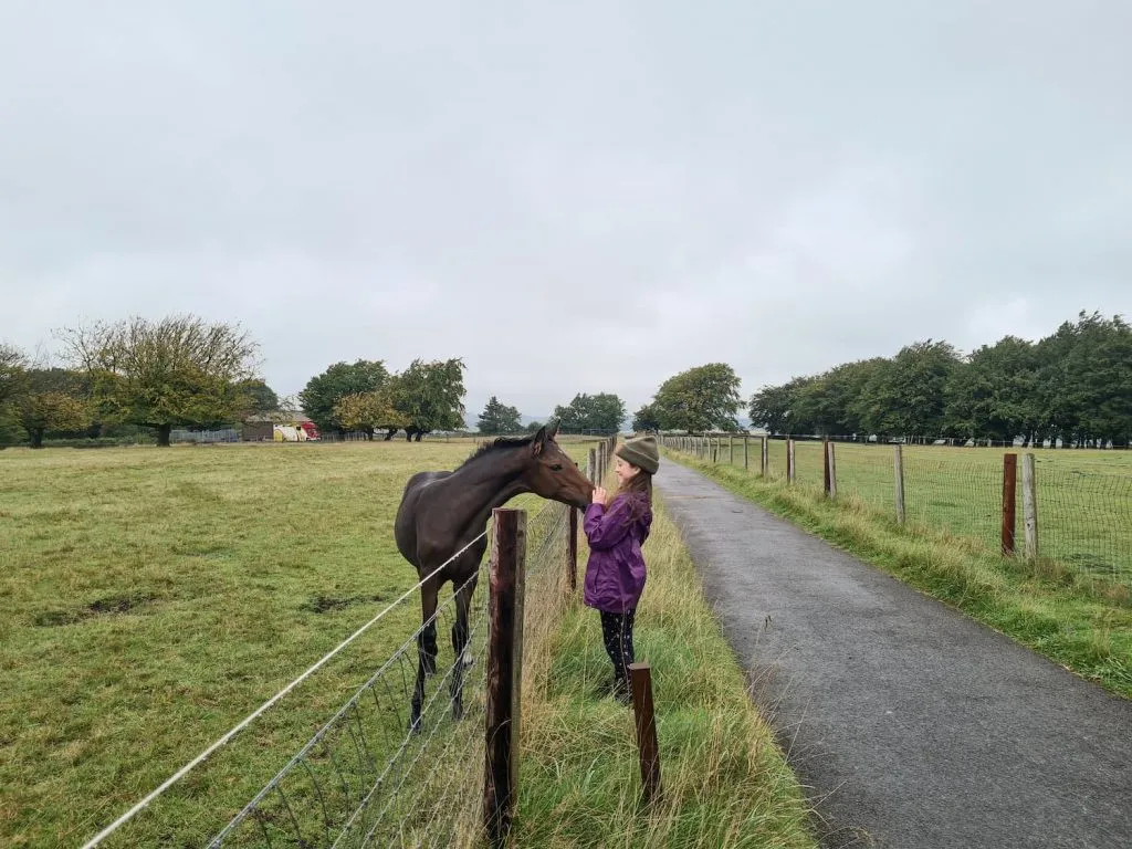 A small girl and a foal - The Wandering Wildflower