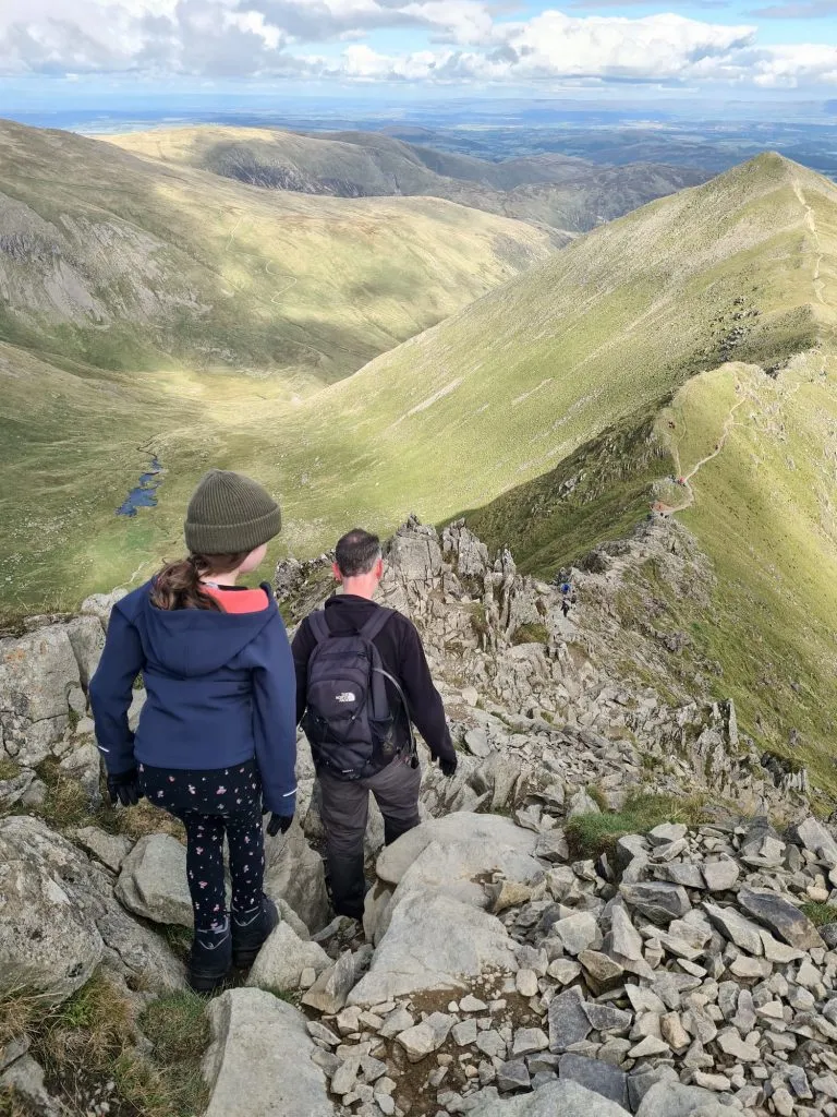 Swirral Edge - The Wandering Wildflower