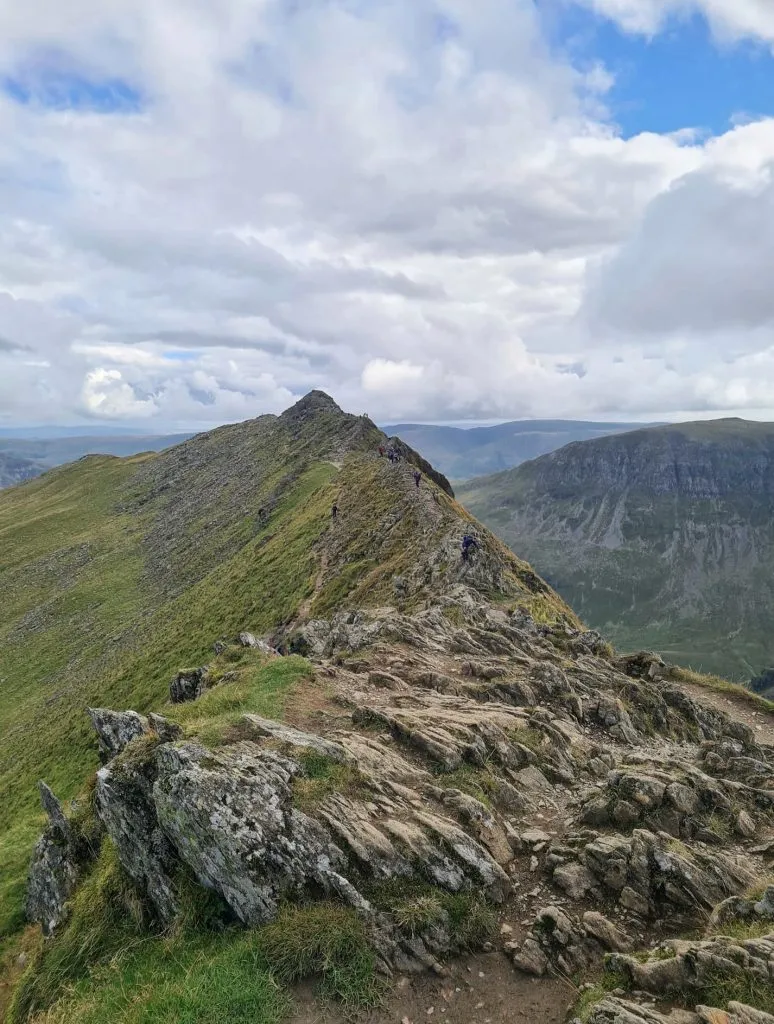 Striding Edge - The Wandering Wildflower