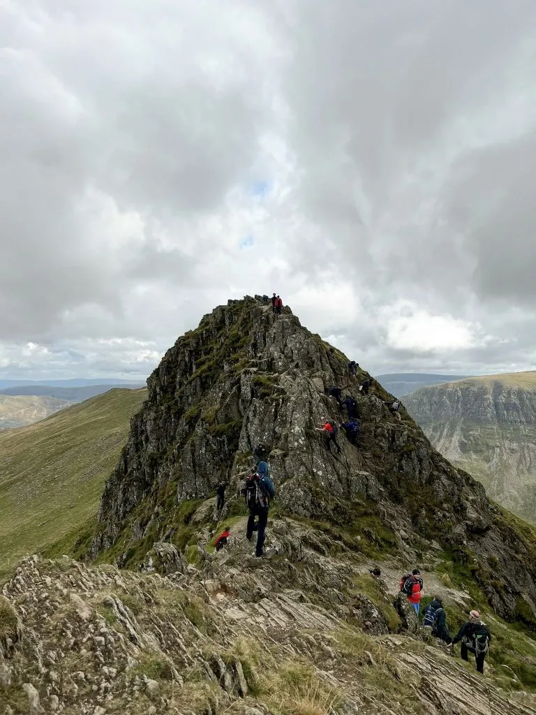 Looking along Striding Edge - The Wandering Wildflower